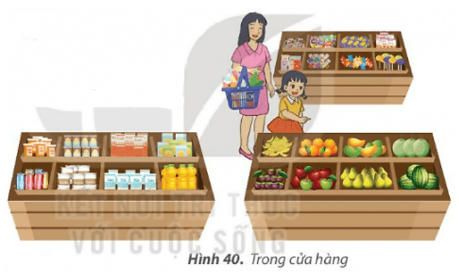 Trắc nghiệm Tin học lớp 3 Kết nối tri thức Bài 7 (có đáp án): Sắp xếp để dễ tìm
