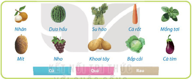 Trắc nghiệm Tin học lớp 3 Kết nối tri thức Bài 7 (có đáp án): Sắp xếp để dễ tìm