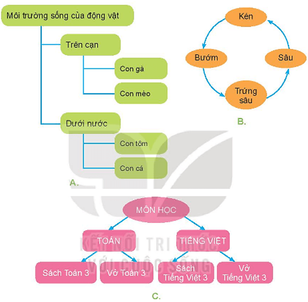 Trắc nghiệm Tin học lớp 3 Kết nối tri thức Bài 8 (có đáp án): Sơ đồ hình cây. Tổ chức thông tin trong máy tính