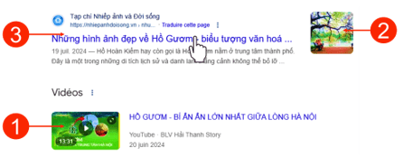 Trắc nghiệm Tin học lớp 4 Cánh diều Bài 1 (có đáp án): Các loại thông tin chính trên trang web 