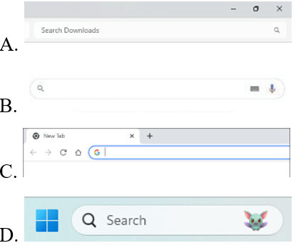 Trắc nghiệm Tin học lớp 4 Cánh diều Bài 1 (có đáp án): Tìm kiếm thông tin trên Internet 