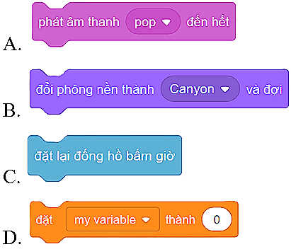 Trắc nghiệm Tin học lớp 4 Cánh diều Bài 3 (có đáp án): Tạo chương trình có phông nền thay đổi 