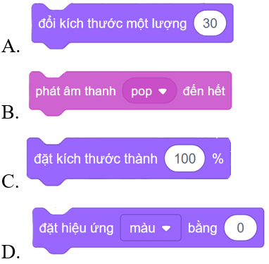 Trắc nghiệm Tin học lớp 4 Cánh diều Bài 6 (có đáp án): Tạo chương trình có nhân vật thay đổi kích thước, màu sắc 