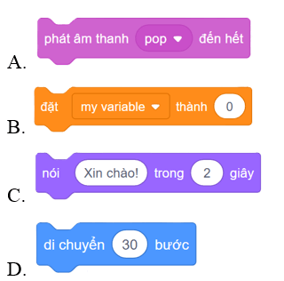 Trắc nghiệm Tin học lớp 4 Chân trời sáng tạo Bài 14 (có đáp án): Điều khiển nhân vật chuyển động trên sân khấu
