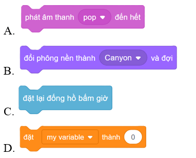 Trắc nghiệm Tin học lớp 4 Chân trời sáng tạo Bài 14 (có đáp án): Điều khiển nhân vật chuyển động trên sân khấu
