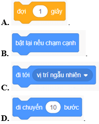 Trắc nghiệm Tin học lớp 4 Kết nối tri thức Bài 16 (có đáp án): Chương trình của em