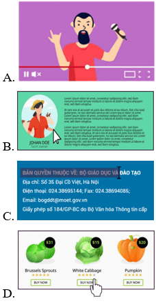 (Kết nối tri thức) Trắc nghiệm Tin học lớp 4 Bài 3 (có đáp án): Thông tin trên trang web