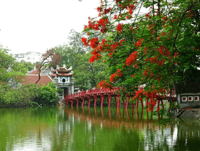 Tin học lớp 5 Cánh diều Bài 2: Thực hành tìm kiếm và chọn thông tin trong giải quyết vấn đề