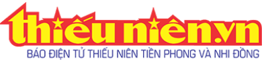 Trắc nghiệm Tin học lớp 5 Cánh diều Bài 1 (có đáp án): Tìm thông tin trên website