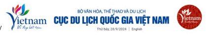 Trắc nghiệm Tin học lớp 5 Cánh diều Bài 1 (có đáp án): Tìm thông tin trên website