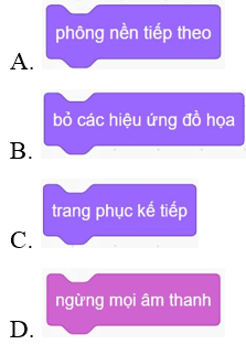 Trắc nghiệm Tin học lớp 5 Cánh diều Bài 5 (có đáp án): Cấu trúc tuần tự