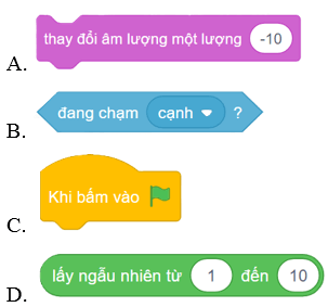 Trắc nghiệm Tin học lớp 5 Cánh diều Bài 7 (có đáp án): Cấu trúc lặp có điều kiện