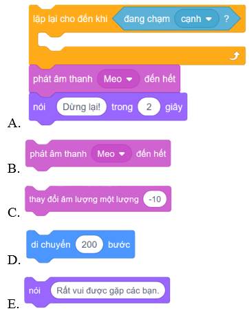 Trắc nghiệm Tin học lớp 5 Cánh diều Bài 7 (có đáp án): Cấu trúc lặp có điều kiện