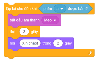 Trắc nghiệm Tin học lớp 5 Cánh diều Bài 7 (có đáp án): Cấu trúc lặp có điều kiện