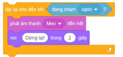 Trắc nghiệm Tin học lớp 5 Cánh diều Bài 7 (có đáp án): Cấu trúc lặp có điều kiện