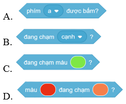 Trắc nghiệm Tin học lớp 5 Cánh diều Bài 7 (có đáp án): Cấu trúc lặp có điều kiện