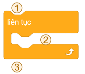 Trắc nghiệm Tin học lớp 5 Cánh diều Bài 8 (có đáp án): Cấu trúc lặp liên tục