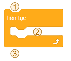 Trắc nghiệm Tin học lớp 5 Cánh diều Bài 8 (có đáp án): Cấu trúc lặp liên tục