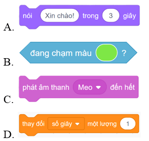 Trắc nghiệm Tin học lớp 5 Cánh diều Bài 9 (có đáp án): Biến và cách dùng biến