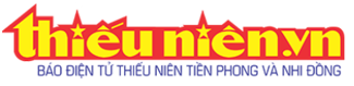 Trắc nghiệm Tin học lớp 5 Chân trời sáng tạo Bài 2 (có đáp án): Tìm thông tin trên website 