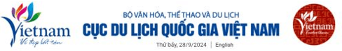 Trắc nghiệm Tin học lớp 5 Chân trời sáng tạo Bài 2 (có đáp án): Tìm thông tin trên website 
