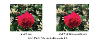 Trắc nghiệm Tin học 8 Kết nối tri thức Bài 10b (có đáp án): Thêm văn bản, tạo hiệu ứng cho ảnh