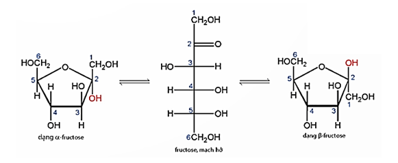 Fructose C6H12O6 là gì