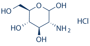 Glucosamine hydrochloride là gì