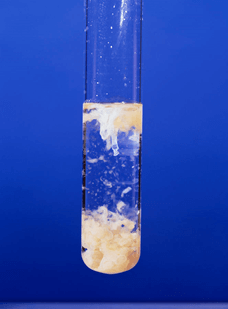 Manganese(II) hydroxide (Mn(OH)2) là gì