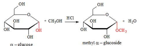 Methyl glucoside C7H14O6 là gì