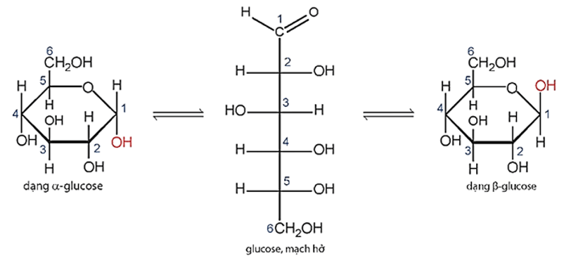 Phân tử khối của glucose (chính xác nhất)