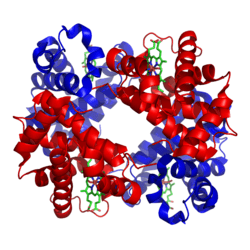 Phân tử khối của Hemoglobin (chính xác nhất)