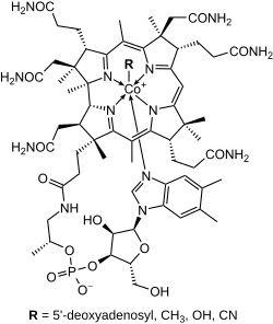Phân tử khối của Vitamin B12 (chính xác nhất)
