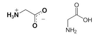 Tính chất hóa học của Glyxin C2H5NO2 | Tính chất vật lí, nhận biết, điều chế, ứng dụng