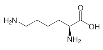Lysin C6H14N2O2: tính chất hóa học, tính chất vật lí, điều chế, ứng dụng