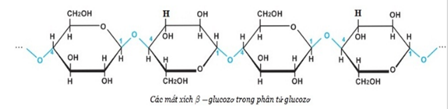 Tính chất hóa học của Xenlulozo | Tính chất vật lí, nhận biết, điều chế, ứng dụng