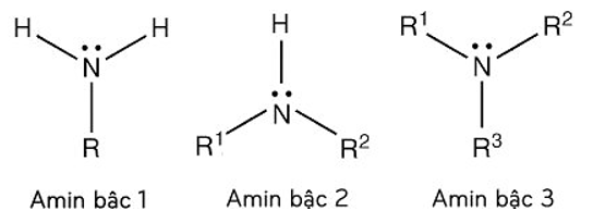 Tính chất hóa học, vật lí của Amin | Tính chất hóa học, tính chất vật lí, điều chế, ứng dụng