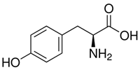 Tyrosine là gì