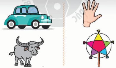 Toán lớp 1 Vì sự bình đẳng Bài 59: Hoạt động trải nghiệm: Em khám phá các nhóm vật (trang 18)