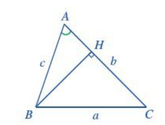 Cho tam giác ABC có BC = a, AC = b, góc BAC = alpha . Kẻ đường cao BH 