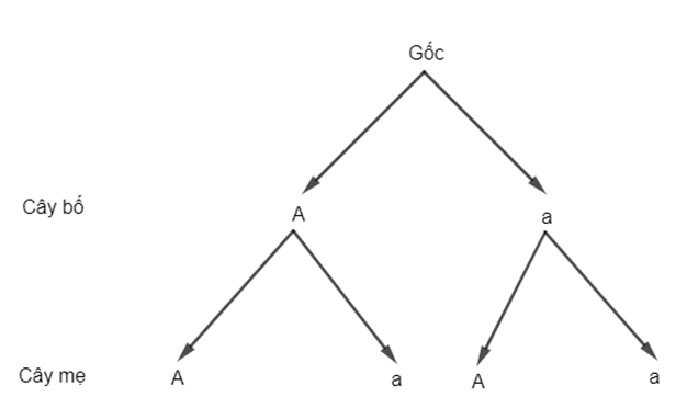 Bài 9.12 trang 87 Toán 10 Tập 2 | Kết nối tri thức Giải Toán 10