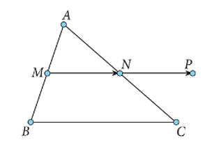 13 Bài tập Các khái niệm mở đầu (có đáp án) | Kết nối tri thức Trắc nghiệm Toán 10 (ảnh 1)