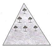 Đề kiểm tra Toán 11 Cánh diều Chương 2 (có lời giải)