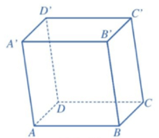 Hình lăng trụ và hình hộp (Lý thuyết Toán lớp 11) | Cánh diều