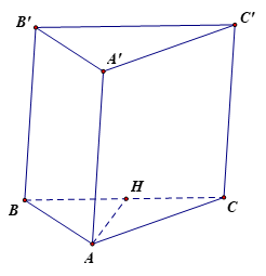 13 Bài tập Hình lăng trụ đứng. Hình chóp đều. Thể tích của một số hình khối (có đáp án) | Cánh diều Trắc nghiệm Toán 11