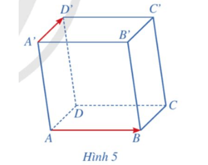 Hoạt động 2 trang 51 Toán 12 Cánh diều Tập 2 | Giải Toán 12