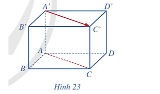 Luyện tập 1 trang 65 Toán 12 Cánh diều Tập 2 | Giải Toán 12