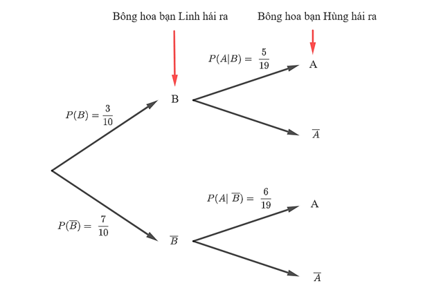 Công thức xác suất toàn phần. Công thức Bayes (Lý thuyết Toán lớp 12) | Cánh diều