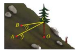 13 Bài tập Phương trình đường thẳng (có đáp án) | Cánh diều Trắc nghiệm Toán 12