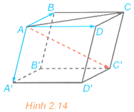 HĐ4 trang 50 Toán 12 Kết nối tri thức Tập 1 | Giải Toán 12